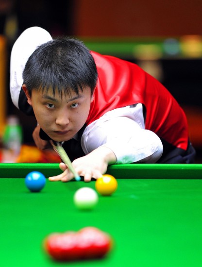 领域的公众 领域的公众