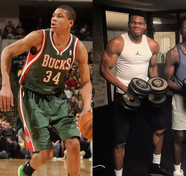 种成熟化的 种成熟化的