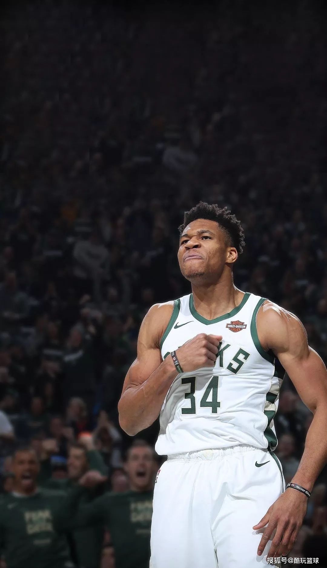 可替代方案 可替代方案