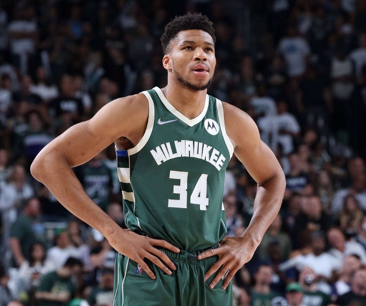 日跃升领先 日跃升领先